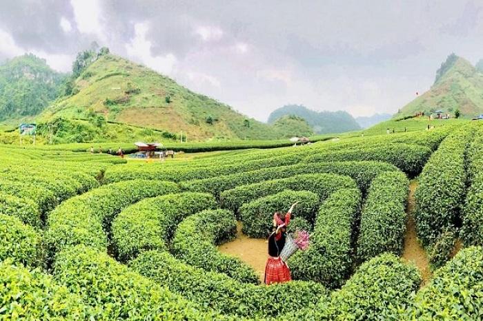 Khí trời mát mẻ tại Mộc Châu cùng quang cảnh hùng vĩ