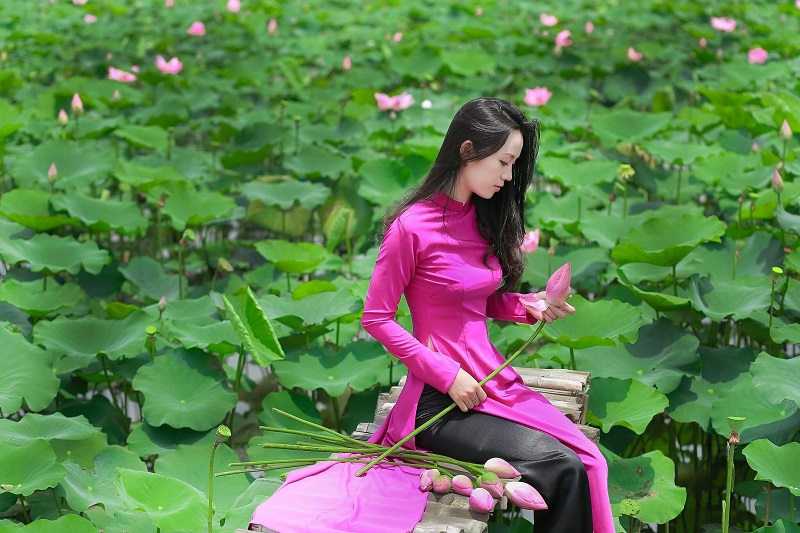 Dịu dàng chụp những bộ ảnh áo dài tại hồ sen Tam Đa