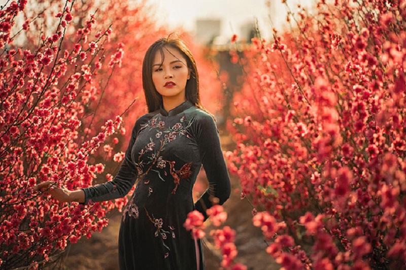 Vườn đào Nhật Tân - Địa điểm chụp ảnh tết đẹp ở Hà Nội