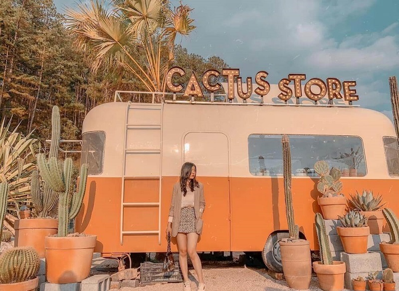 Bức ảnh nhuốm đậm tone cam hoàng hôn