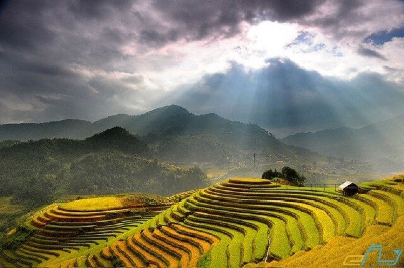 Thung lũng thiên nhiên Mường Hoa