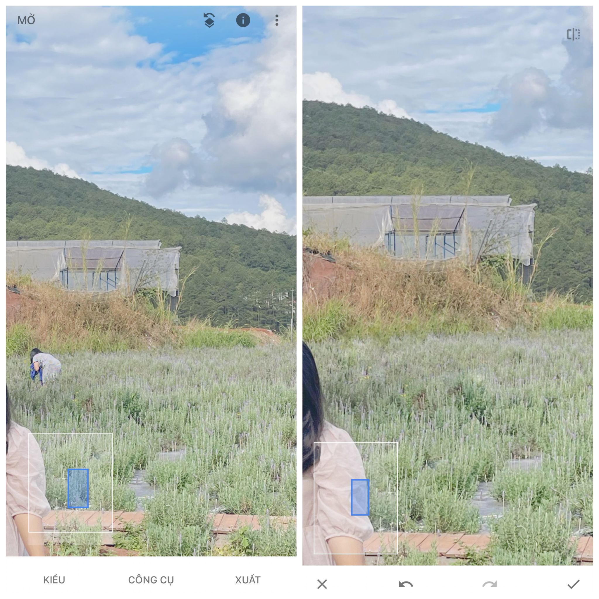 Vật dư thừa đã được xóa sau khi sử dụng công cụ trên snapseed
