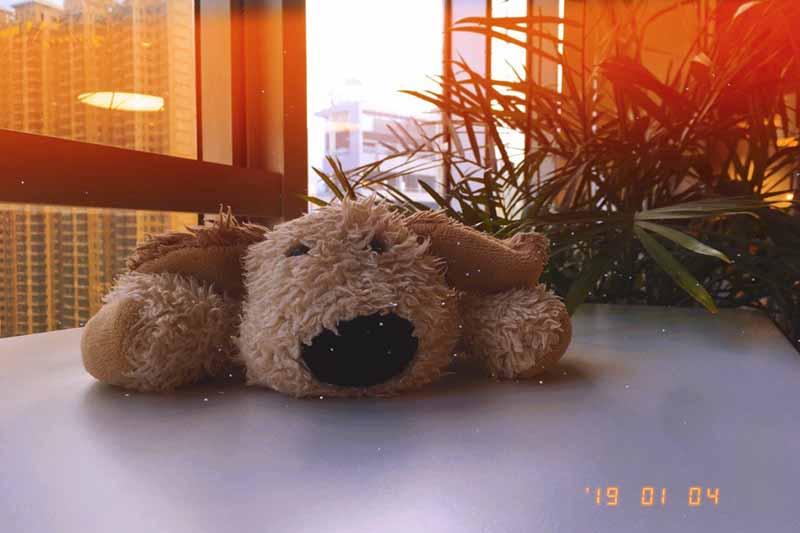 App chỉnh ảnh vintage free