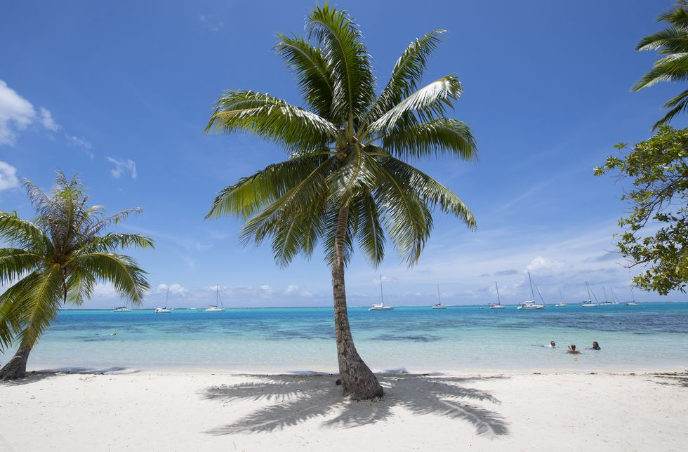 Moorea - Hòn đảo mang đầy cảm hứng tình yêu