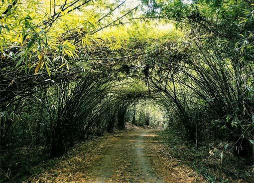 Một địa điểm ưa thích của dân phượt thích trekking