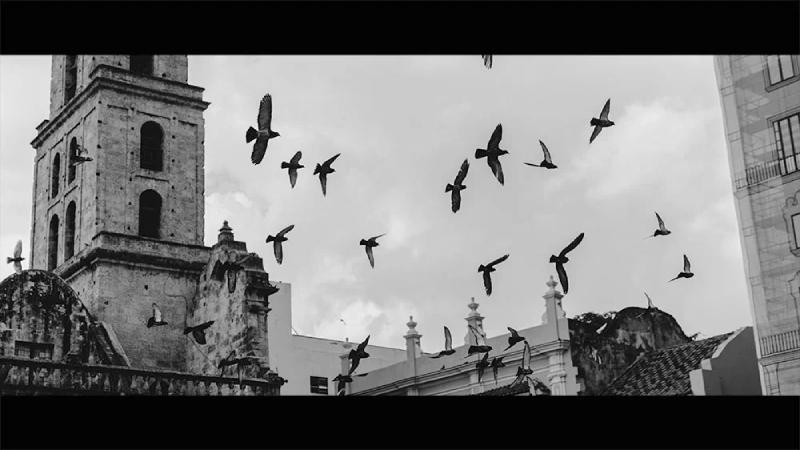 Ảnh trắng đen đậm chất màu film cổ điển