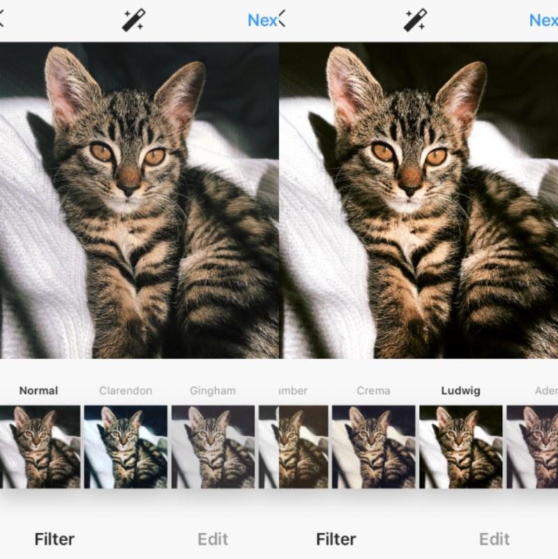 Filter Lugwig