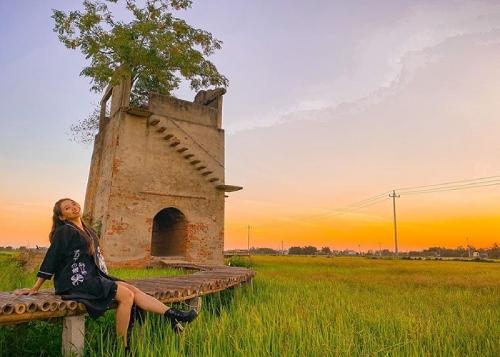 View chụp ảnh giữa đồng lúa bát ngát
