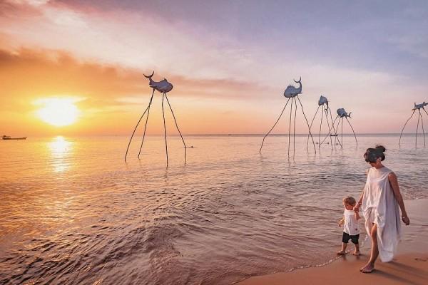 Bãi Trường rực rỡ trong nắng chiều