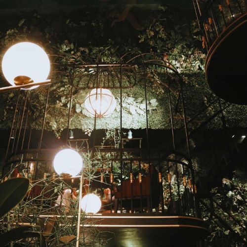 Những chiếc lồng mang dấu ấn riêng của Terrace