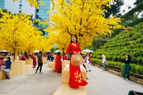 Đường mai vàng - chỗ chụp ảnh đẹp với không khí tết miền Nam