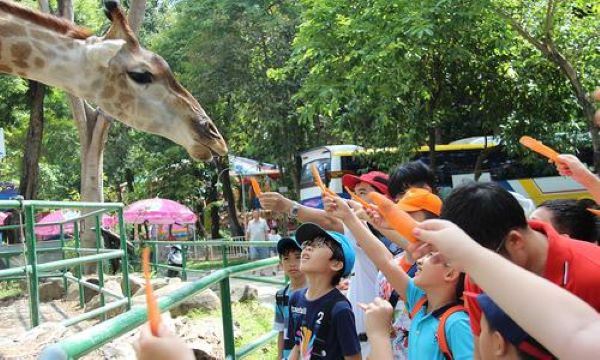 Địa điểm chơi Sài Gòn có nhiều hoạt động hấp dẫn