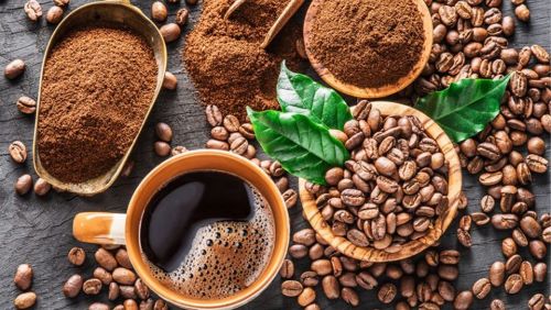 Nguyên liệu là yếu tố quyết định để làm nên một ly cà phê ngon