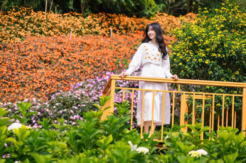 Vô vàng những loài hoa đầy màu sắc