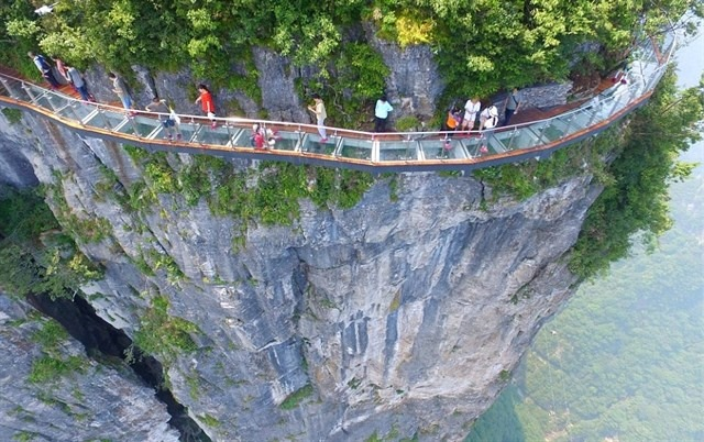 Cầu kính cực hot với view chụp ảnh ở giữa núi rừng Sapa