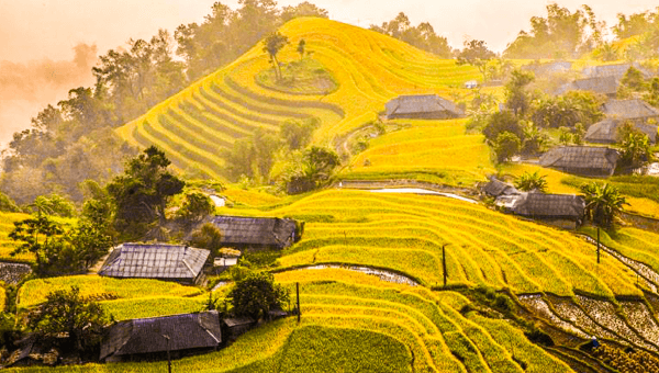 Bạn có thể thuê xe máy tại thị trấn và đi tới Hoàng Su Phì