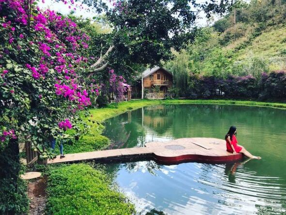 Top những chỗ chụp hình đẹp tại Đà Lạt