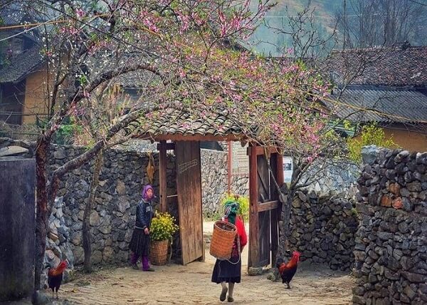 Một thoáng yên bình tại Phố Cáo