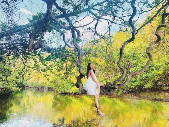 Khu cảnh tựa như lạc vào “chốn thần tiên” tại Vườn quốc gia Côn Đảo