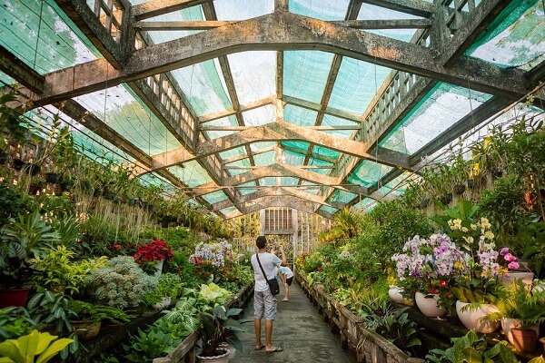Đa dạng background cho những bức hình lung linh