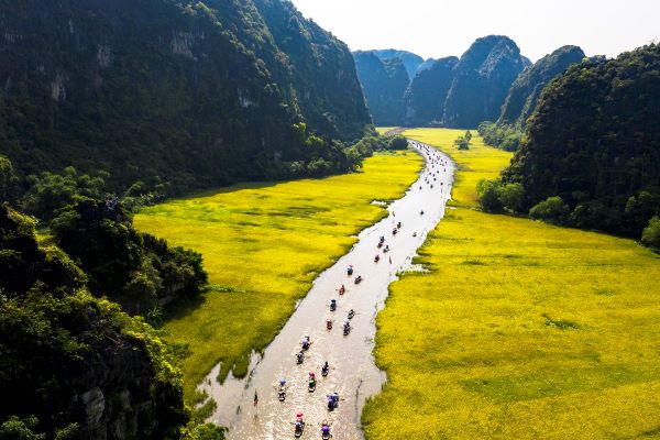 Vẻ đẹp của Tam Cốc mùa lúa chín