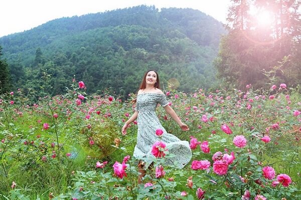 Vườn hồng tuyệt đẹp giữa lòng Sapa