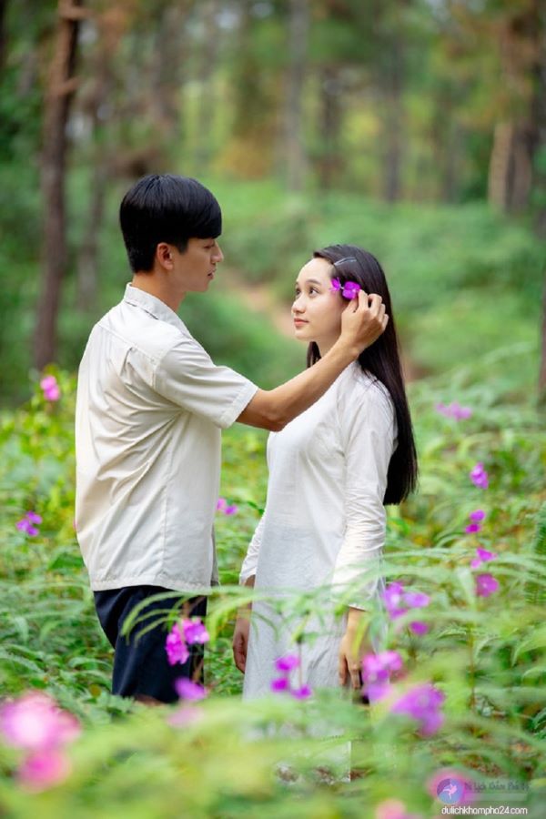 Đồi Thiên An cực đẹp trong bộ phim Mắt Biếc