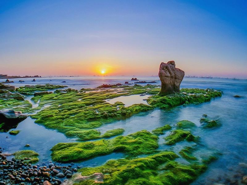 Biển Cổ Thạch trong “mùa săn rêu”