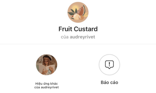 Filter Fruit Custard