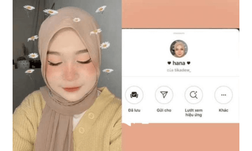 Filter cúc hoạ mi