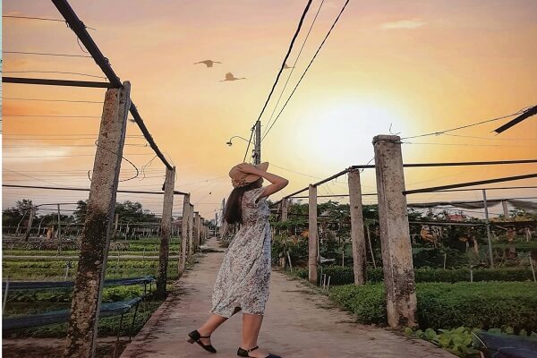 Làng rau trà quế sẽ đem lại cho bạn cảm giác bình yên