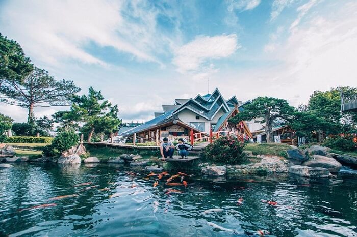 Toàn cảnh hồ cá Koi ở Kokoro Cafe