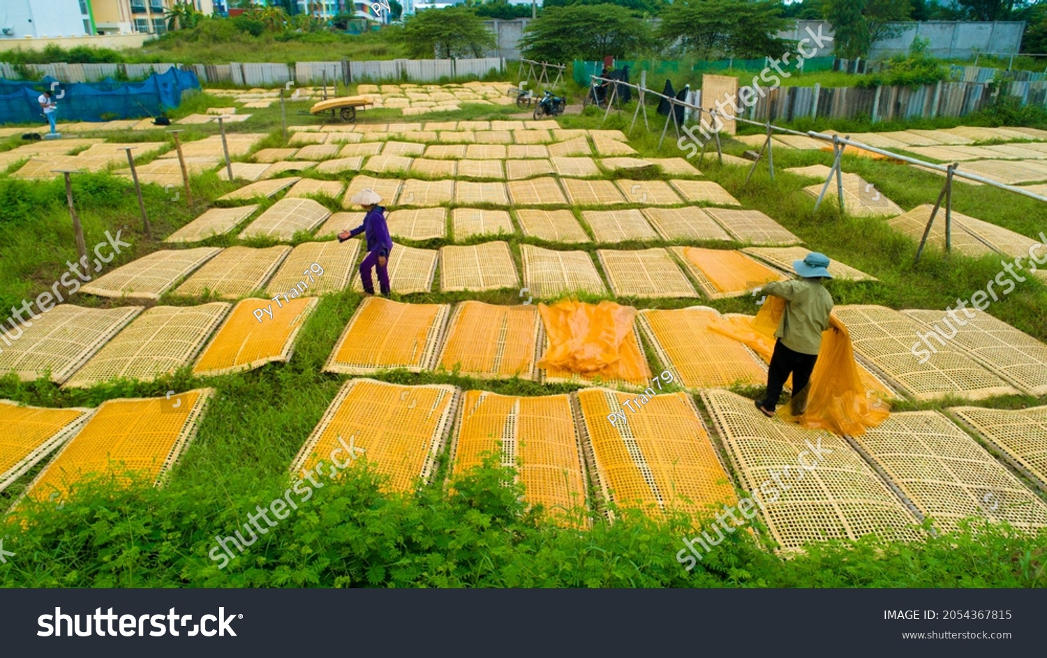 Làng nghề truyền thống Quảng Phú Cầu với những bó hương phơi nắng