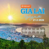 Cảnh đẹp Bình Định - Quy Nhơn nhìn từ trên cao, bờ biển uốn lượn ven núi