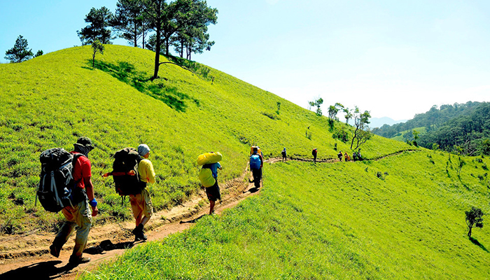Hành trình trekking tại Việt Nam - khám phá thiên nhiên hoang sơ vùng cao