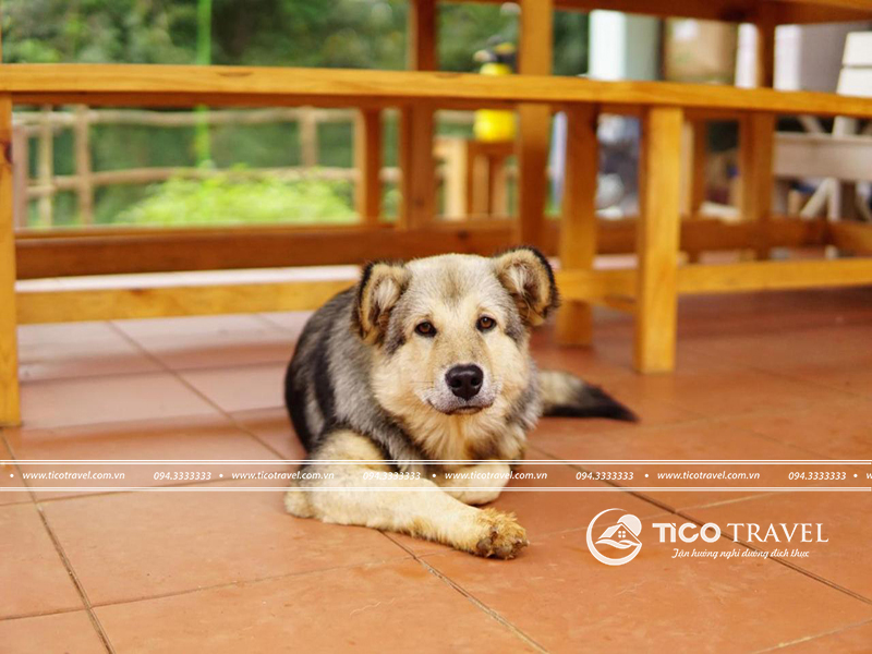 Khu vực sân chung view biển tại Windy Beach Homestay