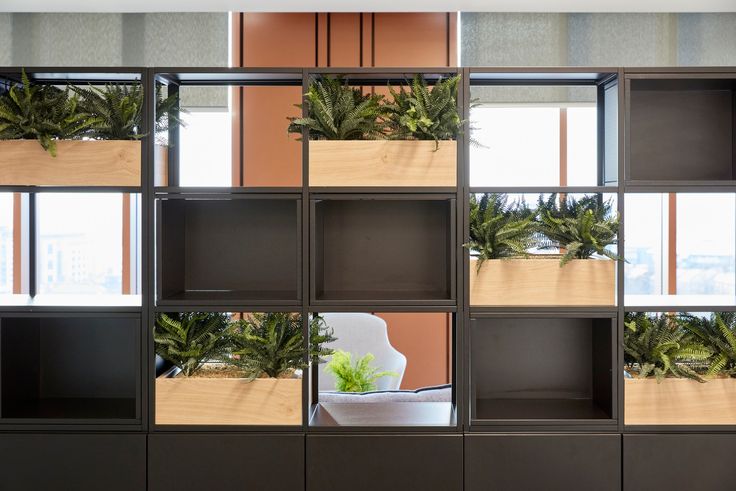 Không gian làm việc với thiết kế biophilic, cây xanh, ánh sáng tự nhiên tăng năng suất