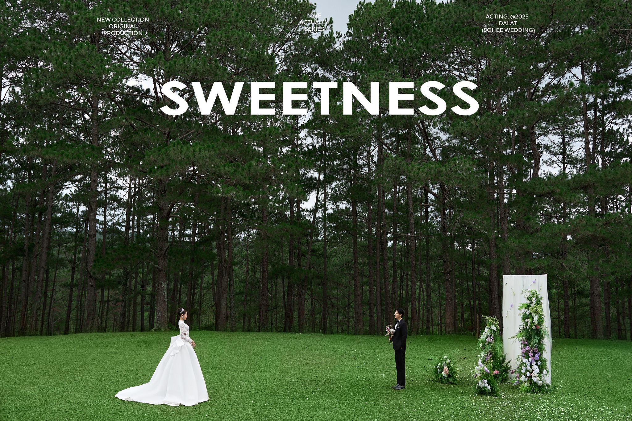 Album cưới cinematic đầy cảm xúc – khoảnh khắc tự nhiên trong ánh sáng vàng golden hour