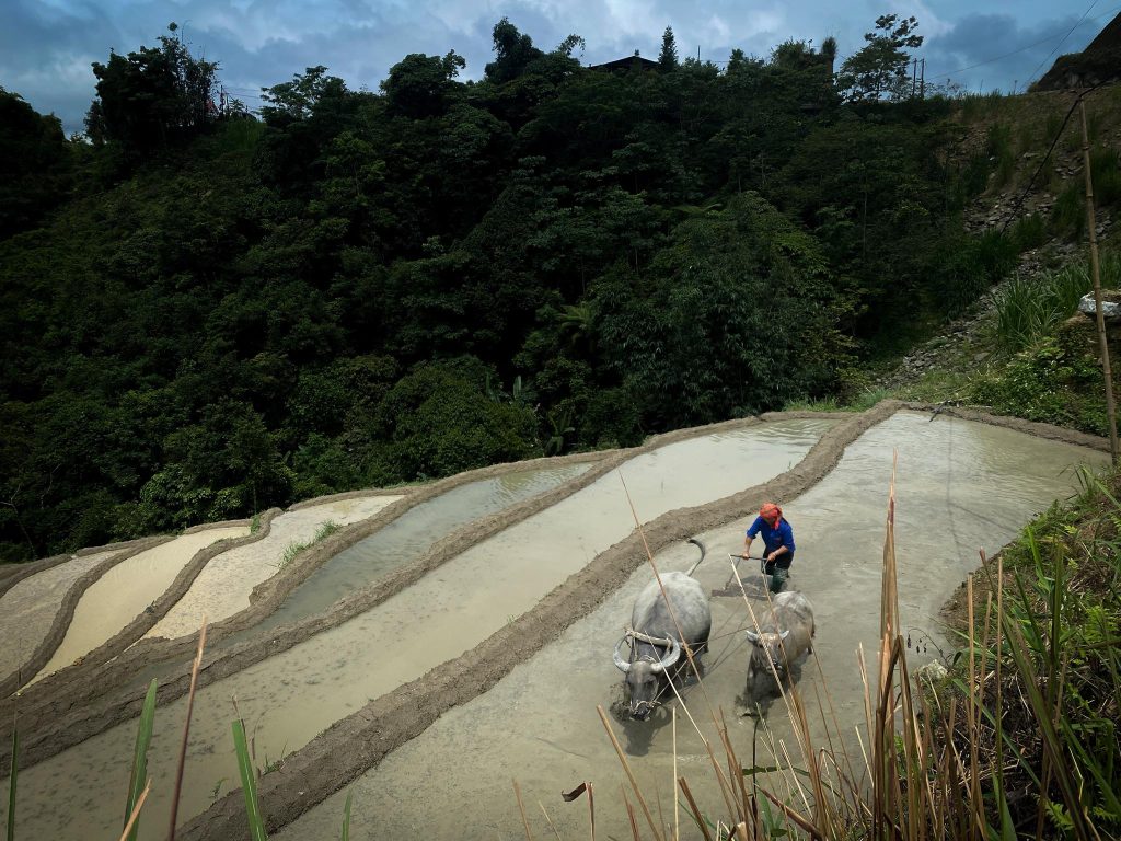 Du lịch bền vững cộng đồng tại Việt Nam – trải nghiệm văn hóa bản địa xanh