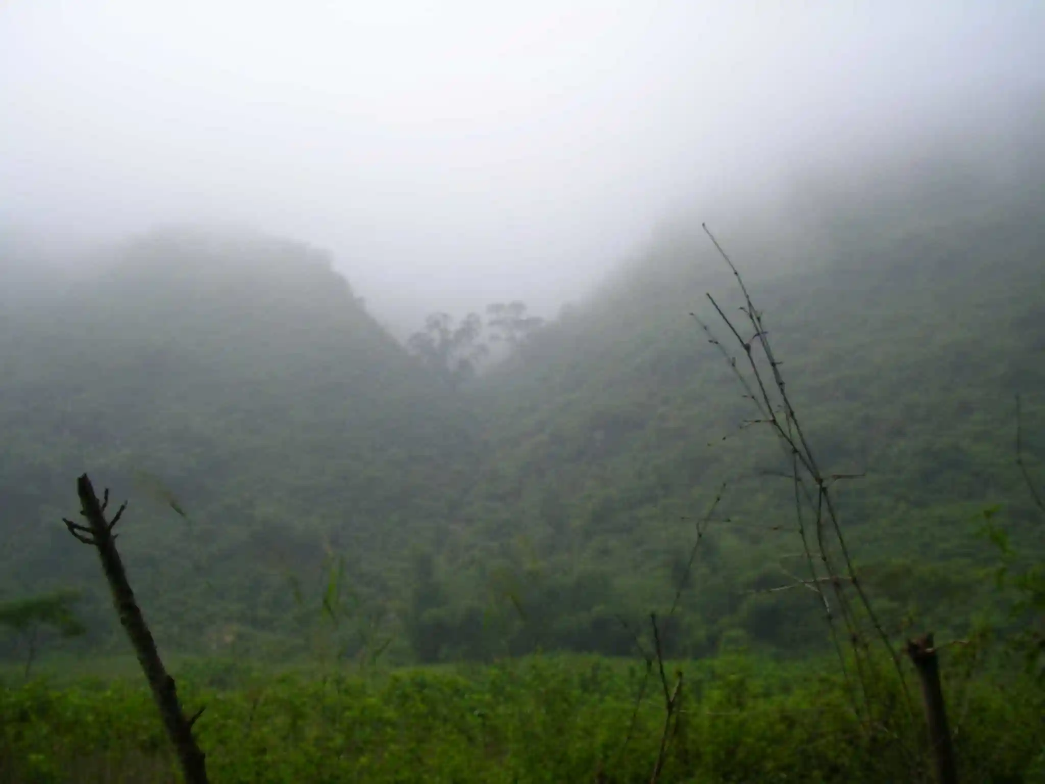 Bản làng Mai Châu buổi sáng sớm mù sương, thung lũng xanh mướt không bóng du khách