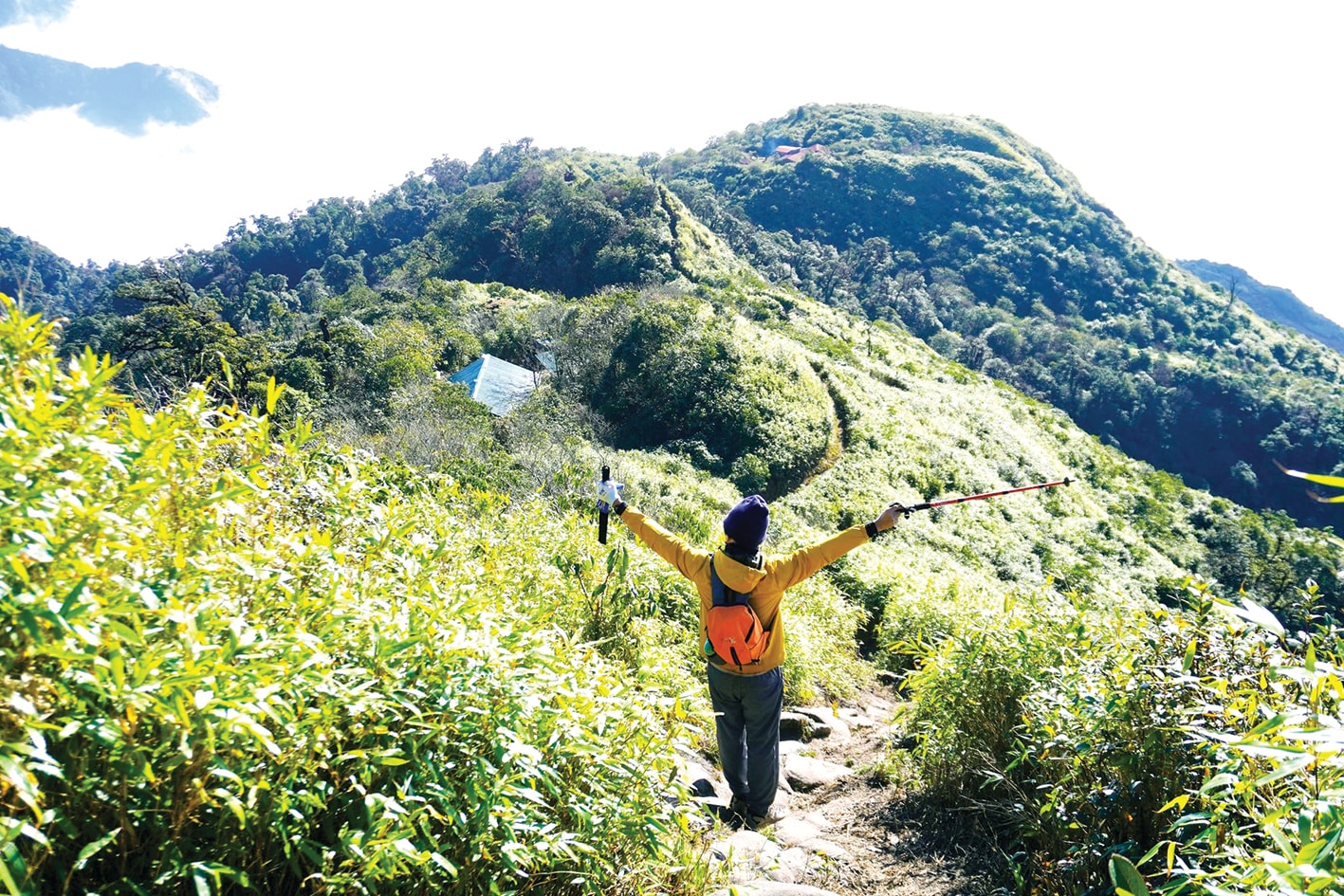 Hoạt động ngoài trời và trekking trong rừng nguyên sinh Việt Nam