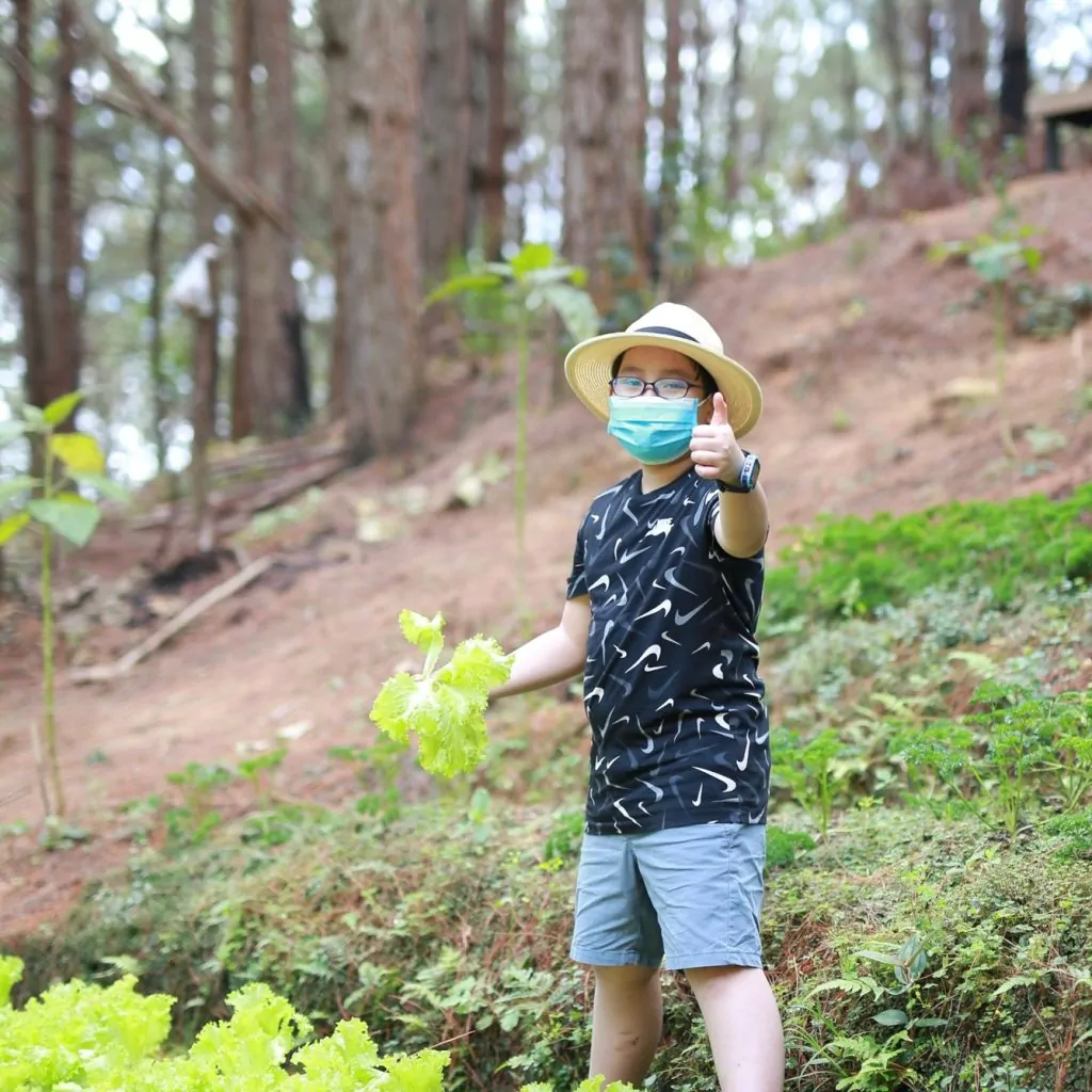 Ẩm thực farm-to-table tại Đà Lạt – Rung Thong Farm & Bistro, xu hướng ẩm thực xanh bền vững 2026