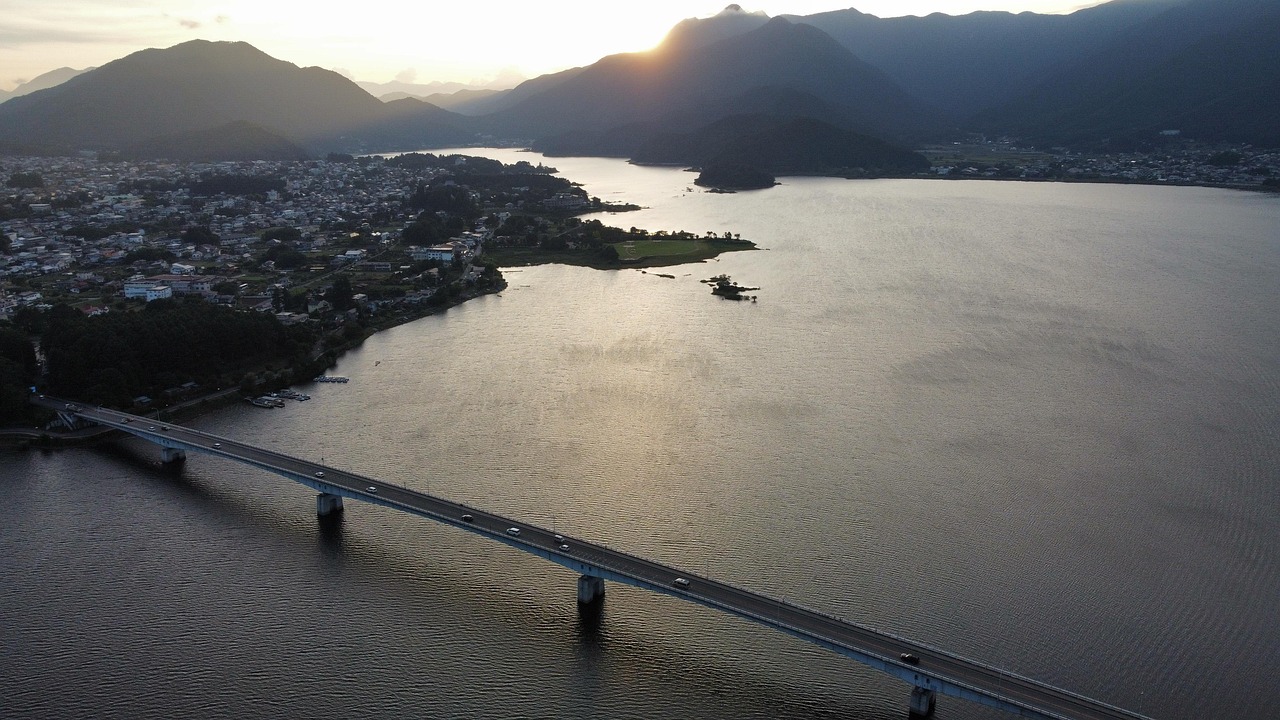 Hoa anh đào nở với núi Phú Sĩ tuyết trắng nằm phía sau