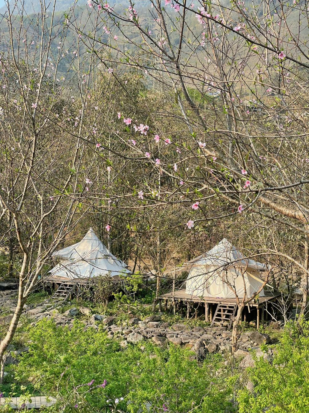 GlampRose Măng Đen - lều glamping cao cấp với view mây