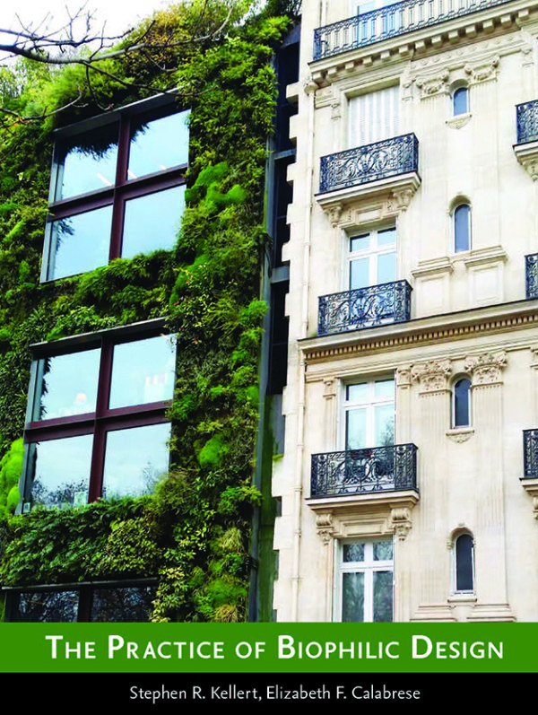 Căn hộ với cây xanh, ánh sáng tự nhiên và vật liệu gỗ thể hiện biophilic design