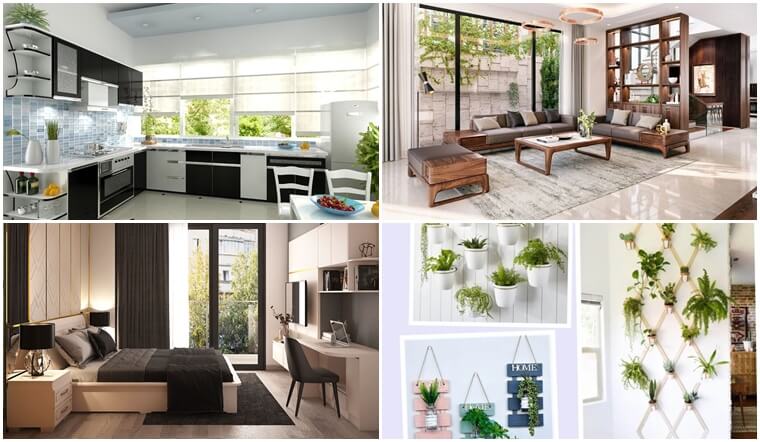 Cây Ngọc Bích – cây phong thủy tượng trưng cho ổn định tài chính, phù hợp không gian phòng ngủ