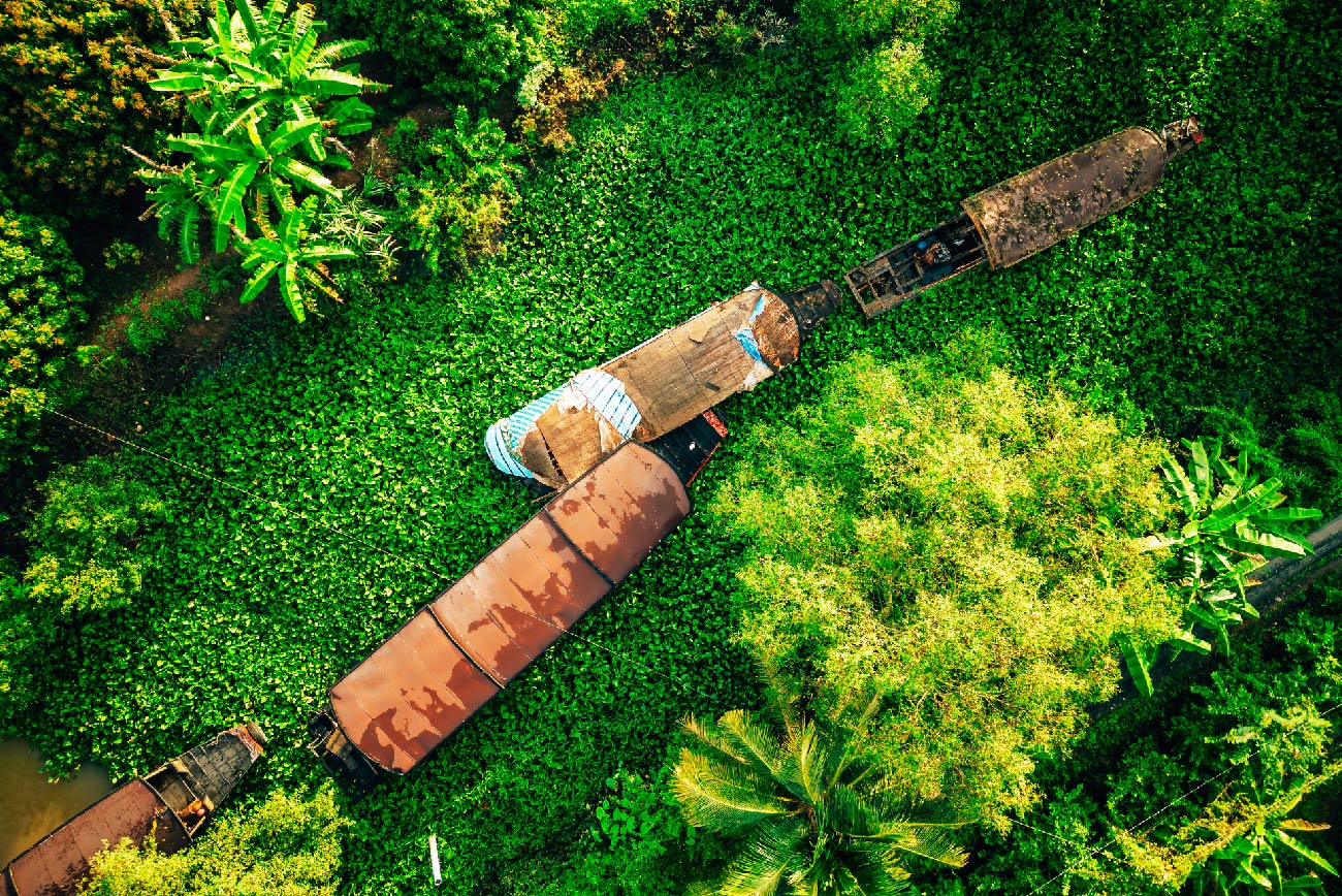 Du lịch xanh tại Việt Nam 2025 – hành trình bền vững với thiên nhiên và cộng đồng