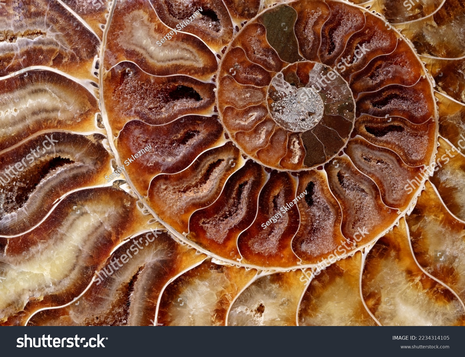 Chi tiết thiết kế với gỗ mộc, đá tự nhiên và vật liệu bền vững