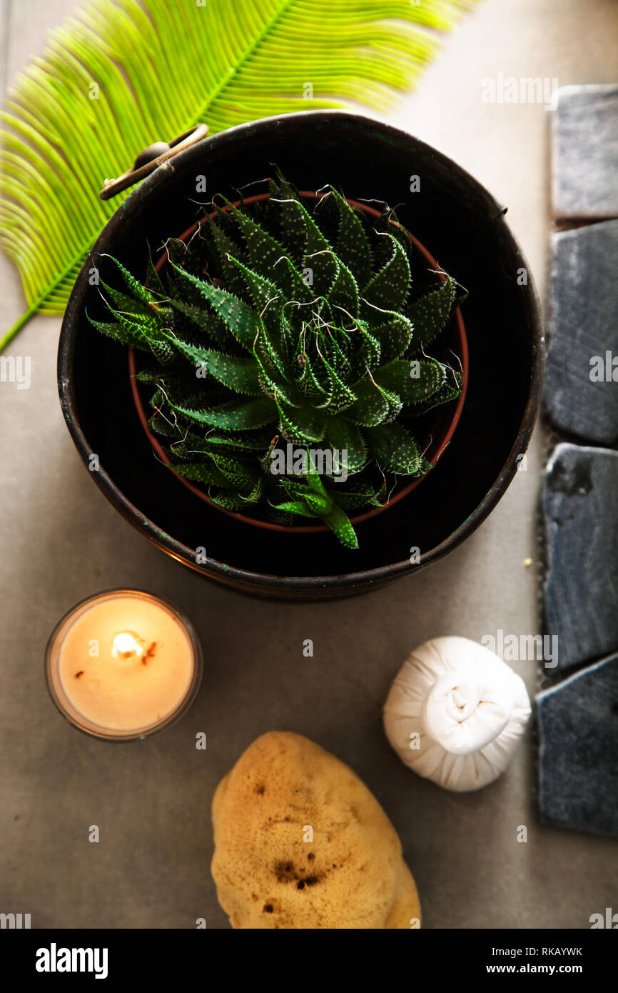 Góc chụp flat lay bồn tắm thảo dược nhìn từ trên xuống với cánh hoa hồng, đá cuội và nến thơm tại spa resort