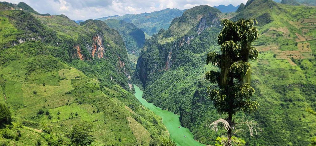 Turquoise Nho Que River winding through Tu San Canyon seen from Ma Pi Leng viewpoint